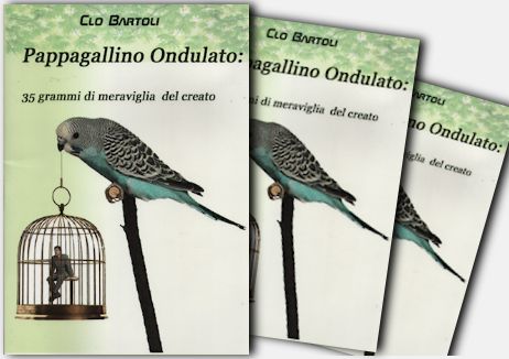 Il miglior libro su cocorite e pappagallini