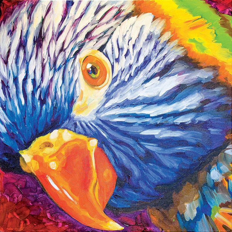Ritratto artistico pappagallo